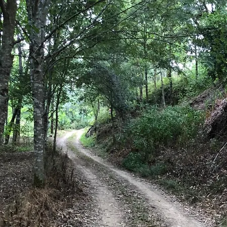 Tatil parkı Mimosa Village - Turismo De Natureza