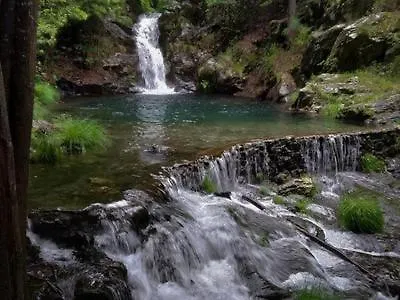 Mimosa Village - Turismo De Natureza Tatil parkı