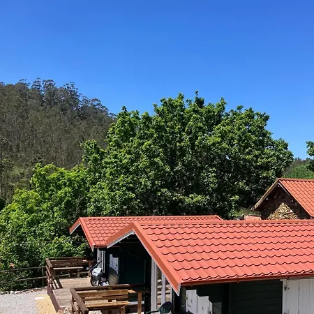 Mimosa Village - Turismo De Natureza Mortagua