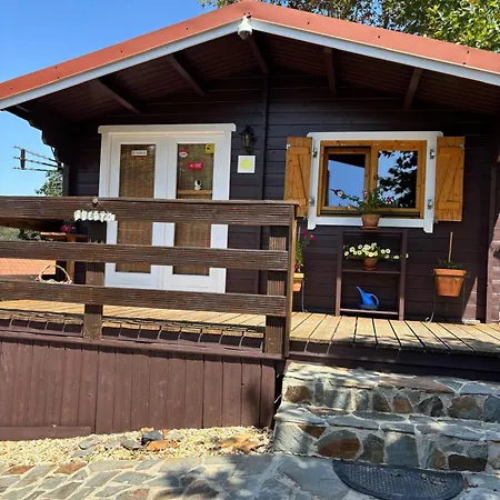 Mimosa Village - Turismo De Natureza Tatil parkı *