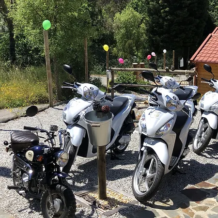 Mimosa Village - Turismo De Natureza