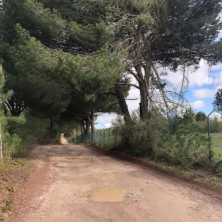 Mimosa Village - Turismo De Natureza