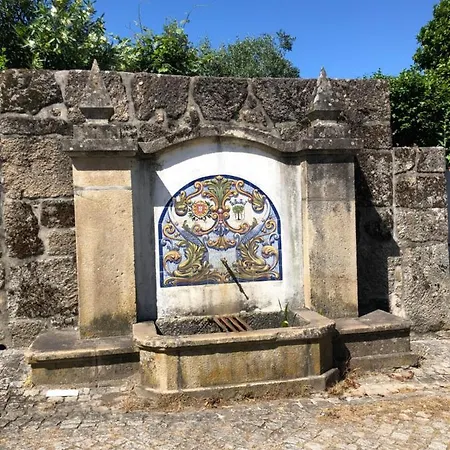 Mimosa Village - Turismo De Natureza 假日公园