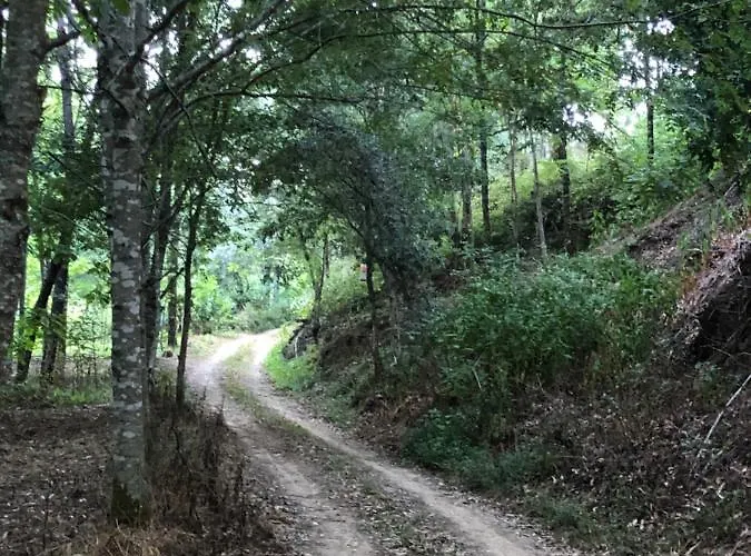 منتزه العطل Mimosa Village - Turismo De Natureza