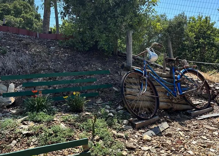 Mimosa Village - Turismo De Natureza منتزه العطل