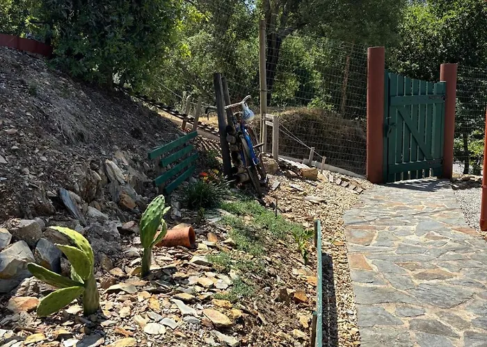 منتزه العطل Mimosa Village - Turismo De Natureza Mortágua