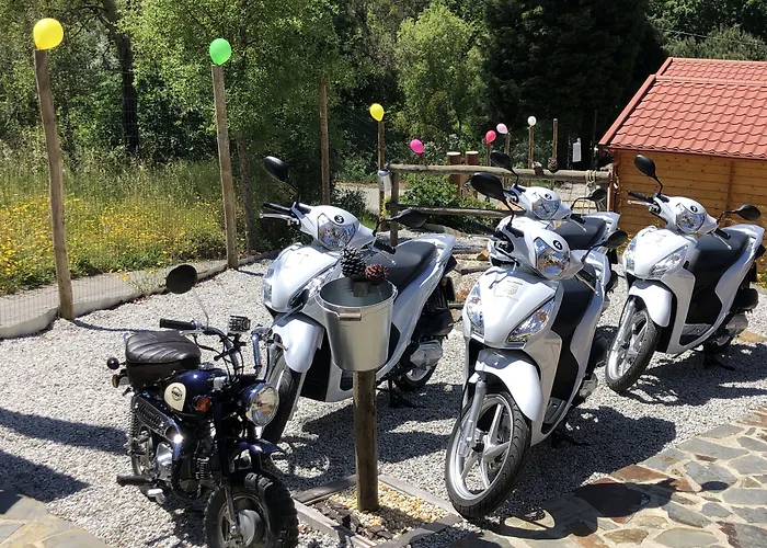 Mimosa Village - Turismo De Natureza