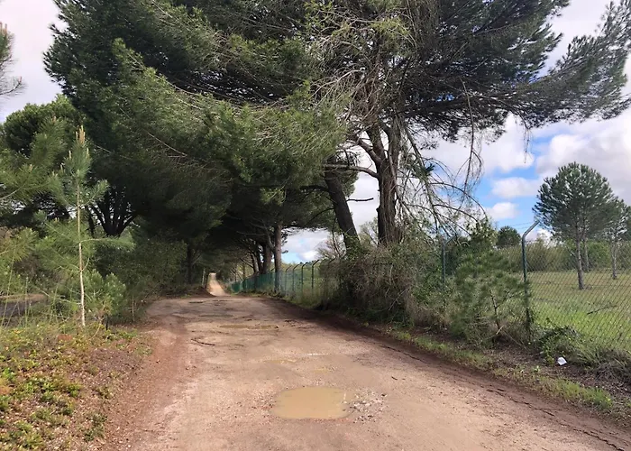 Mimosa Village - Turismo De Natureza