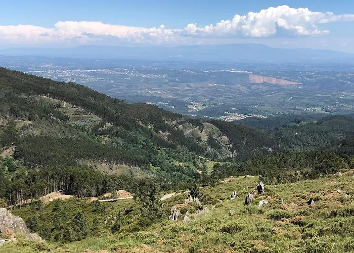 Mimosa Village - Turismo De Natureza منتزه العطل *